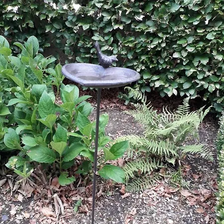 La Maison Hote, De Charme En Bord De Semois 펜션 부용