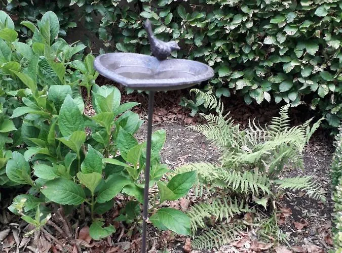 La Maison Hote, De Charme En Bord De Semois Ferienhaus Bouillon